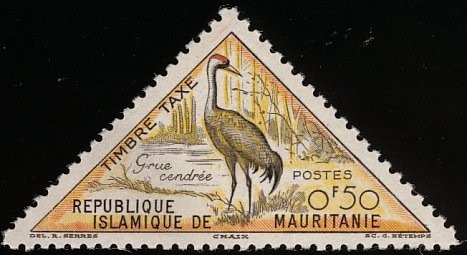 Gray Crane (Grus grus)