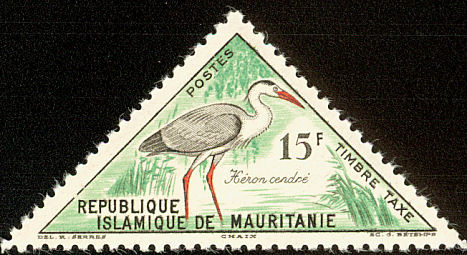 Grey Heron (Ardea cinerea)