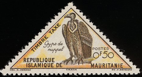 Rüppell's Vulture (Gyps de ruppell)