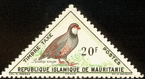 Red-legged Partridge (Alectoris rufa)