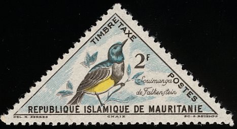 Variable Sunbird (Cinnyris venustus)