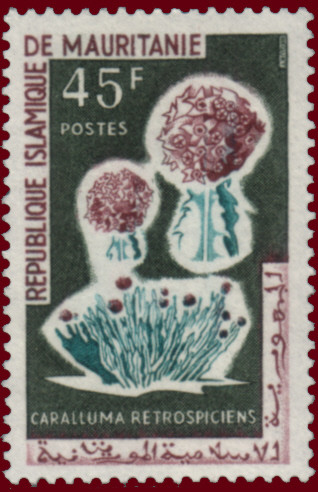 Stamp