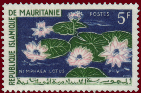 Stamp