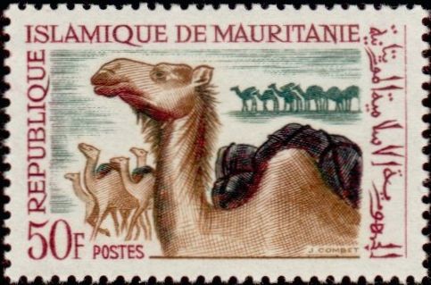 Stamp