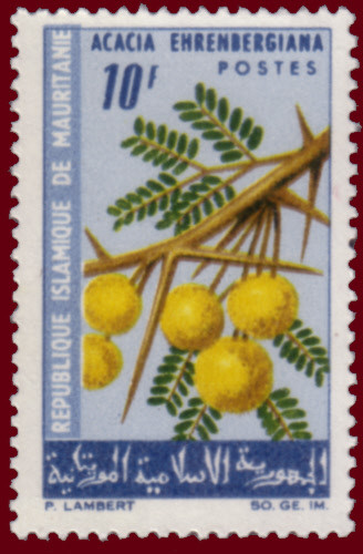 Stamp
