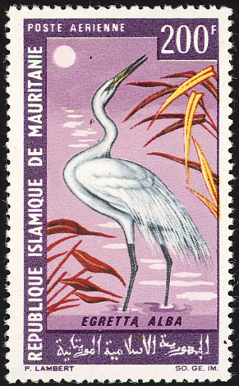 Stamp