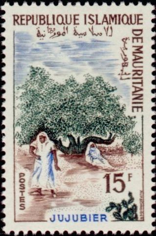 Stamp