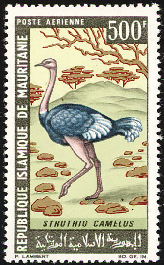 Stamp