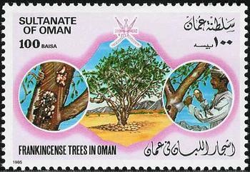 Frankincense Trees of Oman
