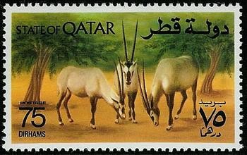 Arabian Oryx (Oryx leucoryx) - 75 dirham
