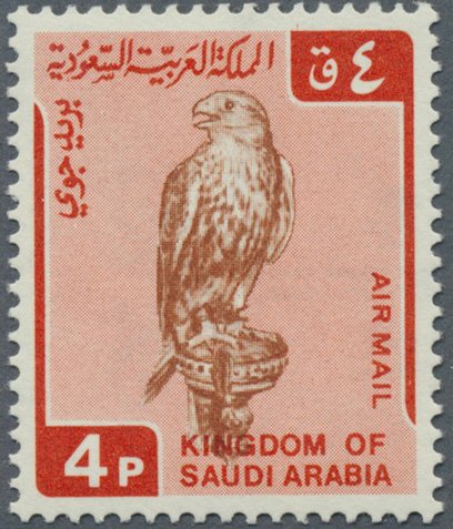 Saker Falcon (Falco cherrug) -4 piastre