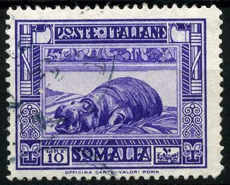 Hippopotamus along the Riverbanks - 10 lira