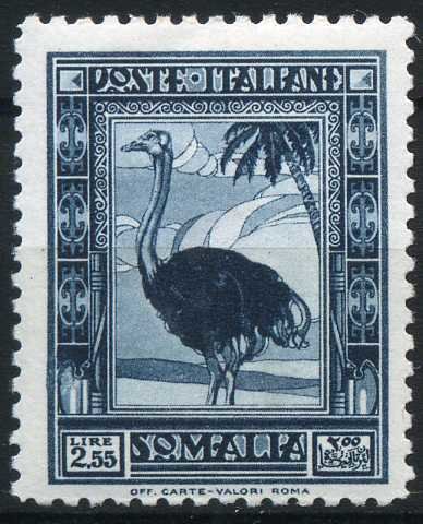 Ostrich in Savanna Landscape - 2.55 lira