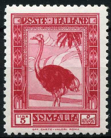 Ostrich in Savanna Landscape - 5 lira