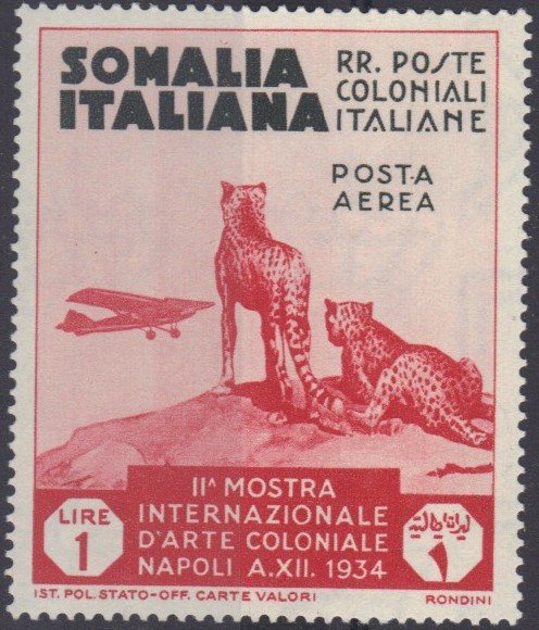 Cheetahs Watching an Airmail Plane - 1 Lira