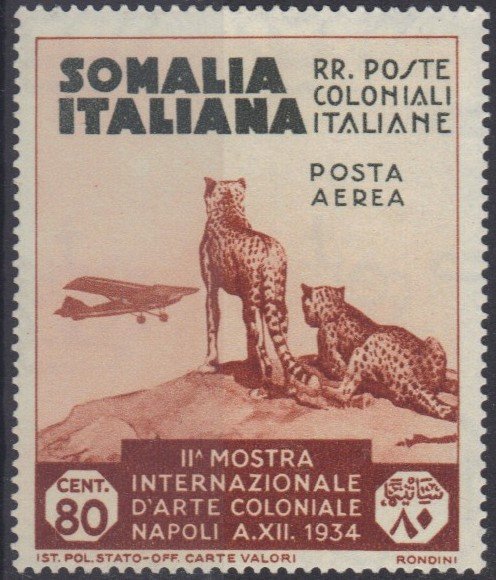 Cheetahs Watching an Airmail Plane - 80 centesimo