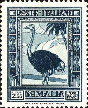 Ostrich in Savanna Landscape - 2.55 lira