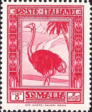 Ostrich in Savanna Landscape - 5 lira