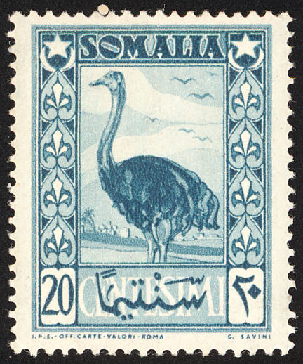 Ostrich in Savanna Landscape - 20 centesimo