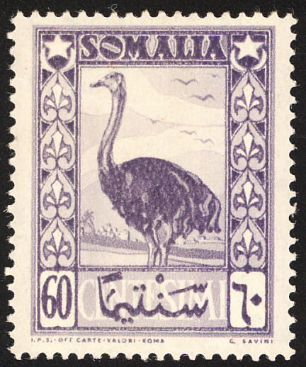 Ostrich in Savanna Landscape - 60 centesimo