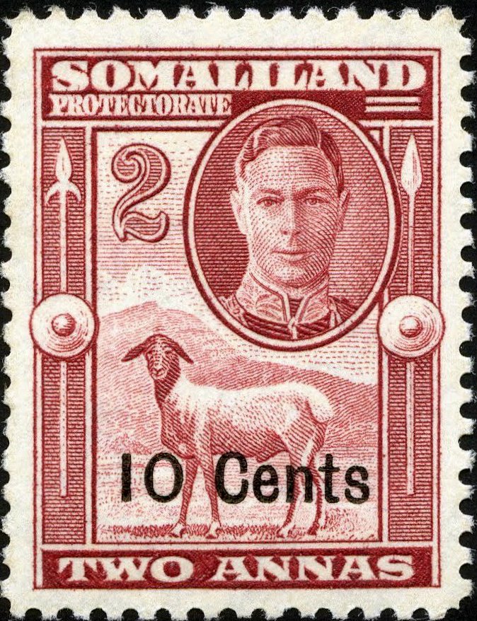 Black-headed Somali Sheep (Ovis aries)  - 10 cent