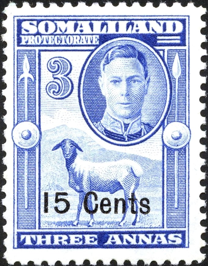 Black-headed Somali Sheep (Ovis aries)  - 15 cent
