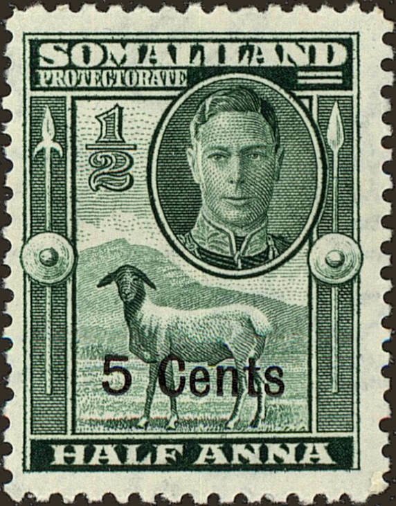 Black-headed Somali Sheep (Ovis aries)  - 5 cent
