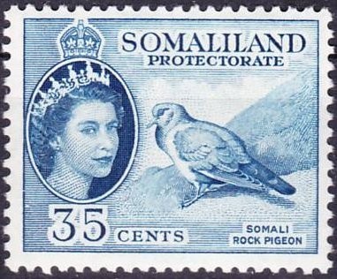 Somali Pigeon (Columba oliviae) - 35 cent