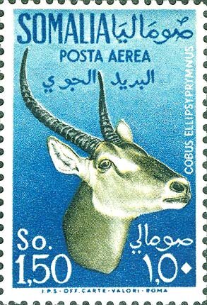 Stamp