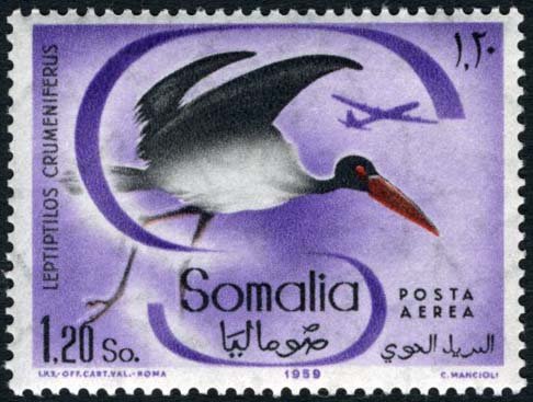 Stamp