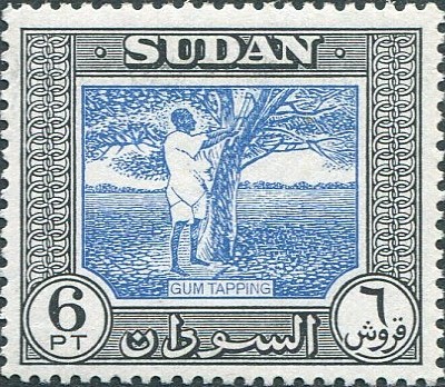 Gum Arabic Harvesting - 6  piastre