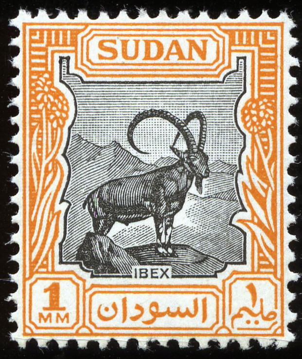 Nubian Ibex -1 millieme