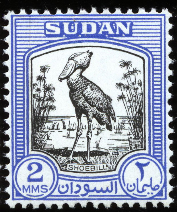 Shoebill Stork - 2 millieme