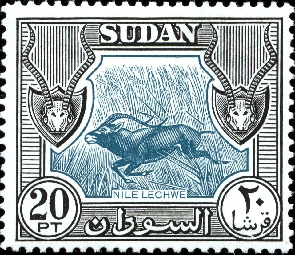 The Nile Lechwe - 20  piastre