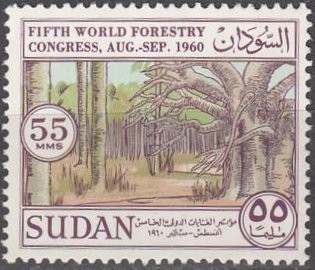 Fifth World Forestry Congress - 55 millim