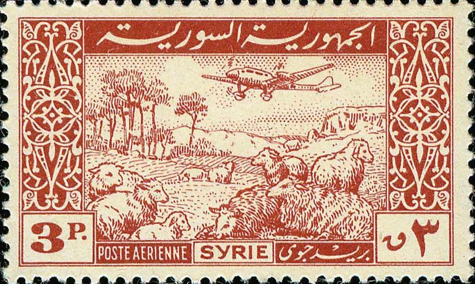 Plane and Flock of Sheep
