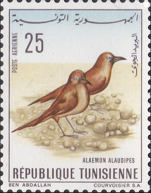 Stamp