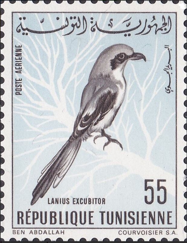 Stamp