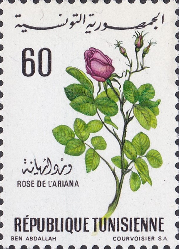 Stamp