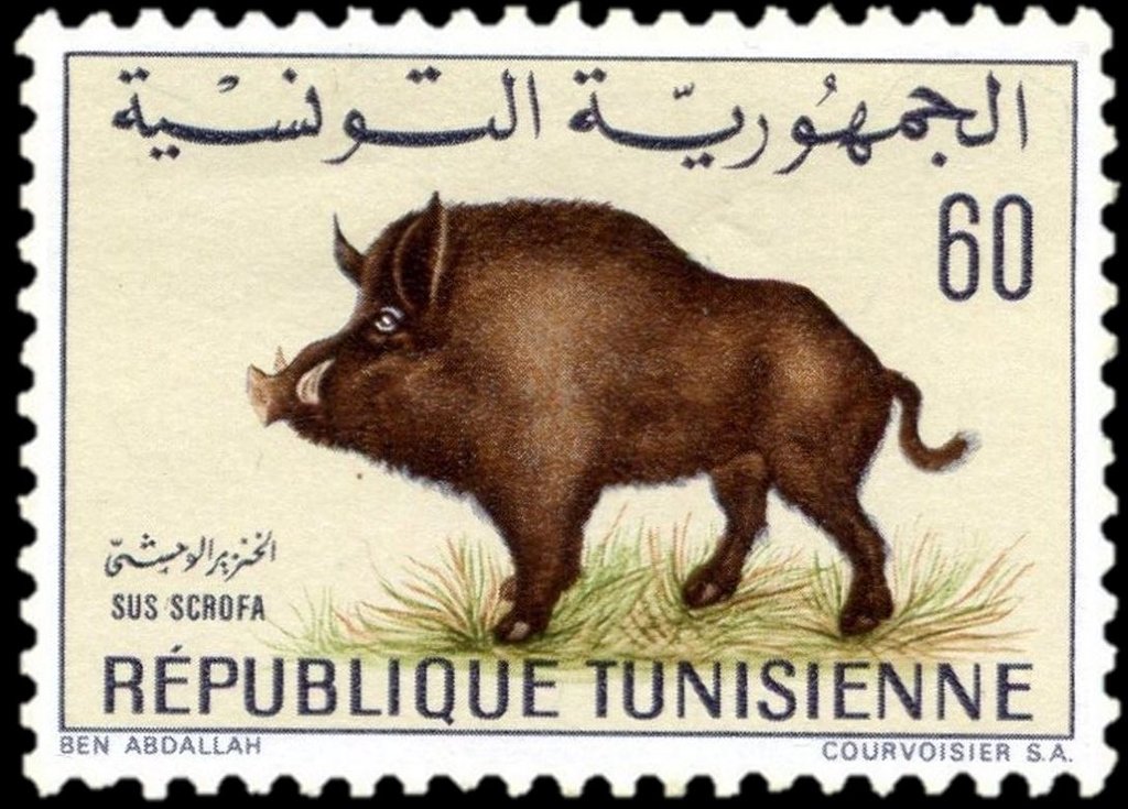 Stamp