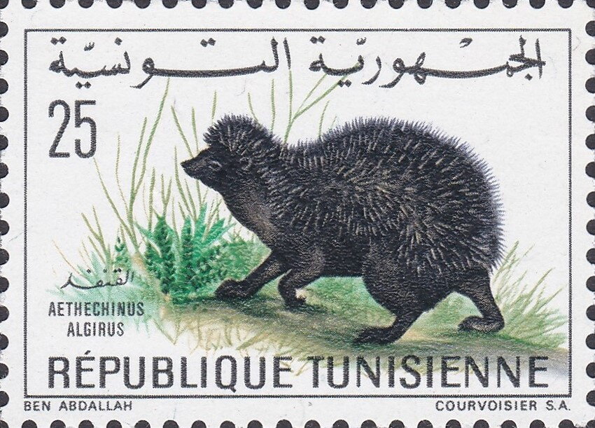 Stamp
