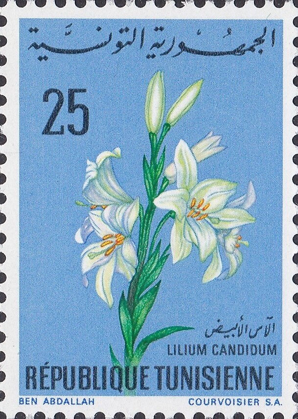 Stamp