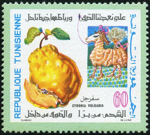 Stamp