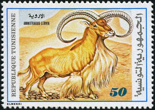 Stamp