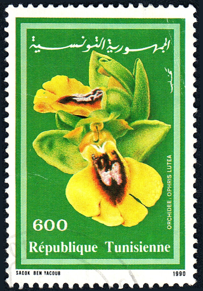 Stamp
