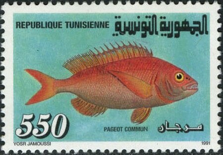 Stamp