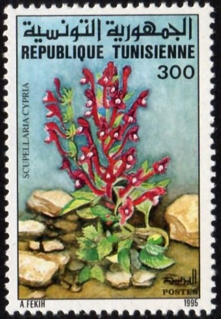 Stamp