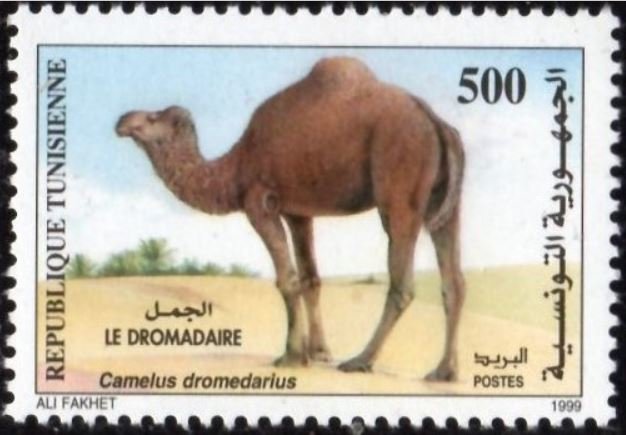 Stamp