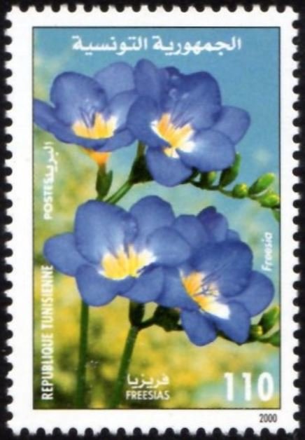 Stamp