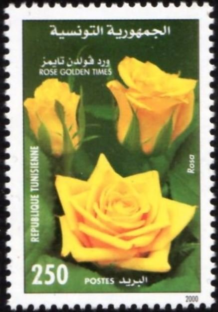 Stamp